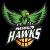 Wanita Ringwood Hawks