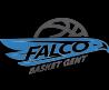 Falco Gent