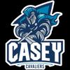 Casey Cavaliers (W)